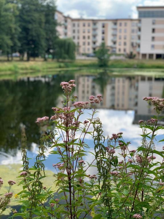 Europa22 Apartament "Sen Jak W Pieciogwiazdkowym Hotelu" - Centrum Miasta Tomaszów Mazowiecki Exterior foto